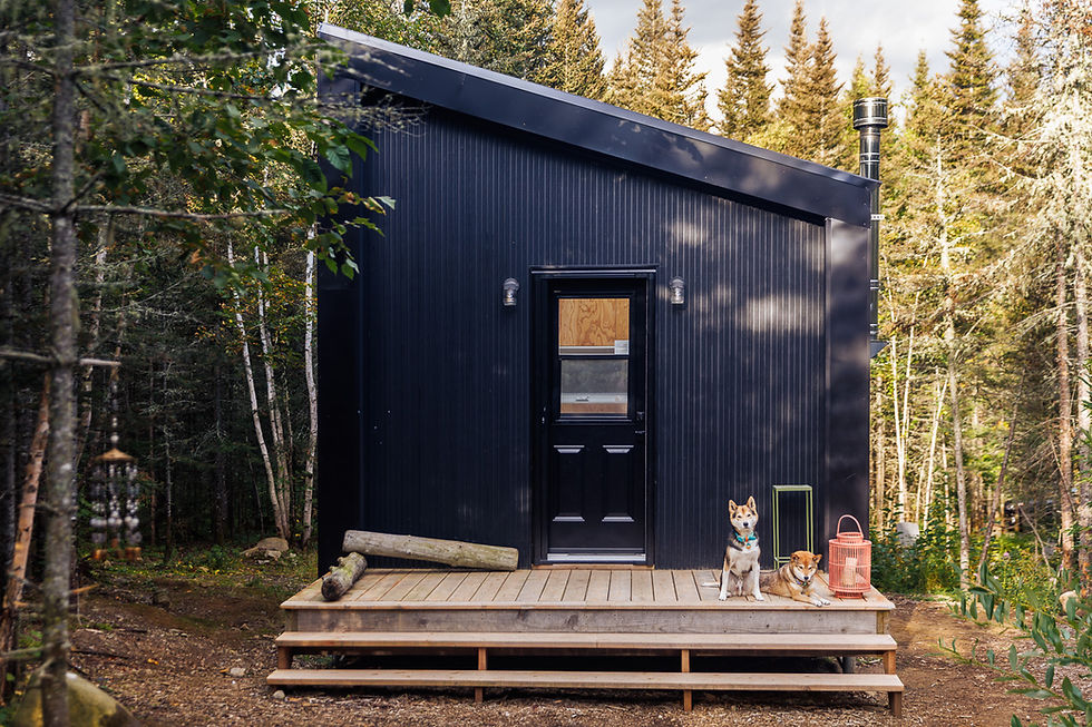 DACO - Hébergements insolites en pleine nature, 100% dog friendly