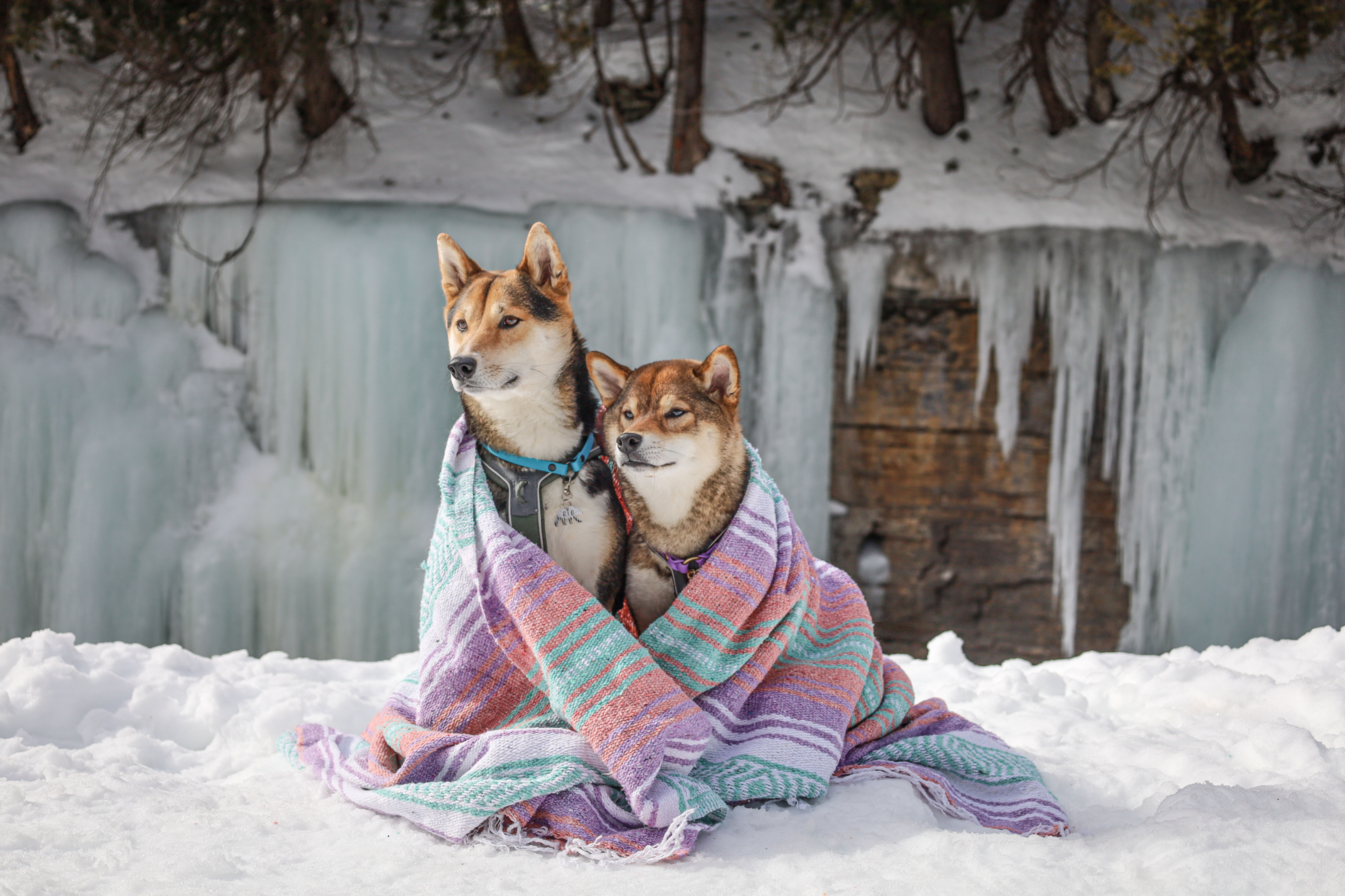 Couverture d'aventure