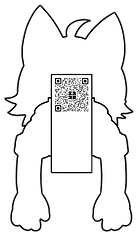 新・上半身セット後.png