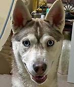Nala Collins