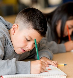 clínica flor alma banner principal site.jpg