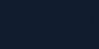 plain dark navy blue background.jpg