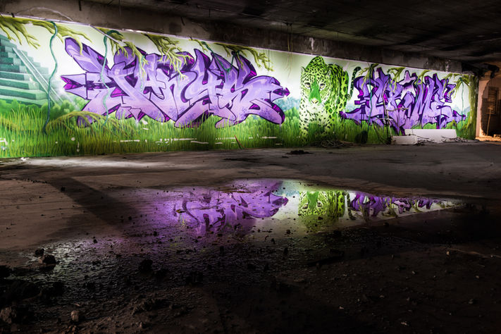 Eine tropische Wandgestaltung im alten Coop-Gebäude in Rotkreuz, die sich in einer Wasserpfütze auf dem Boden spiegelt. Das Kunstwerk zeigt zwei große, lila Graffiti-Schriftzüge auf beiden Seiten der Wand, in der Mitte befindet sich ein realistisch gemalter Leopard. Links ist eine Pyramide zu sehen, und die gesamte Szene ist von üppiger grüner Vegetation und Bäumen umgeben. Die Spiegelung der Wand in der Wasserpfütze verstärkt die lebendigen Farben und Details des Kunstwerks.
