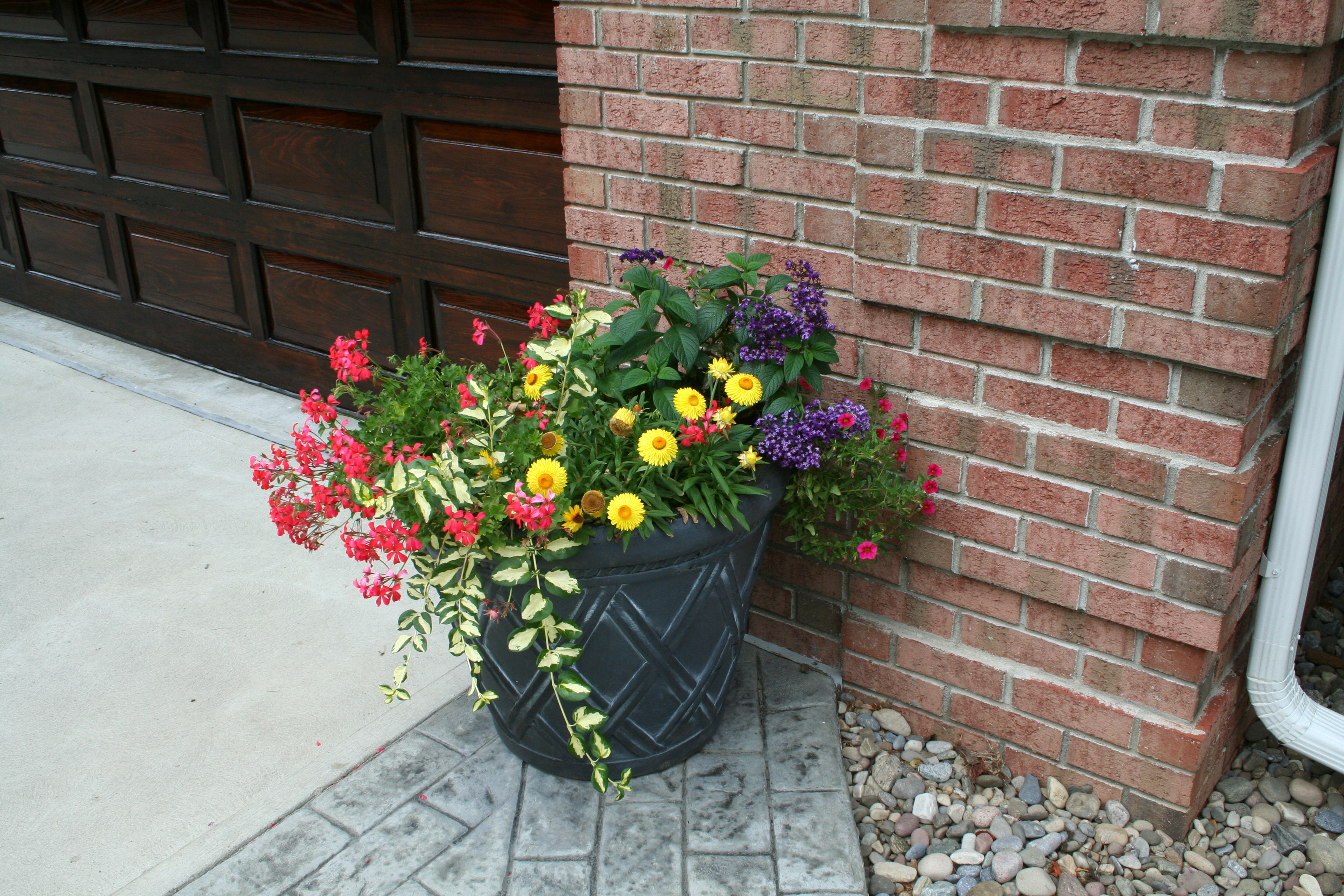 contrast planting