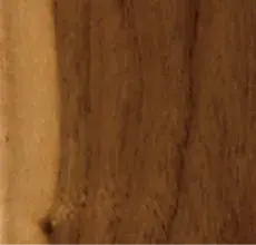 texture2_3.webp