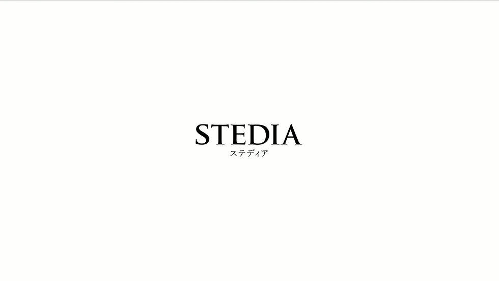 stedia video.mp4
