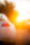 DSC_0300.jpeg