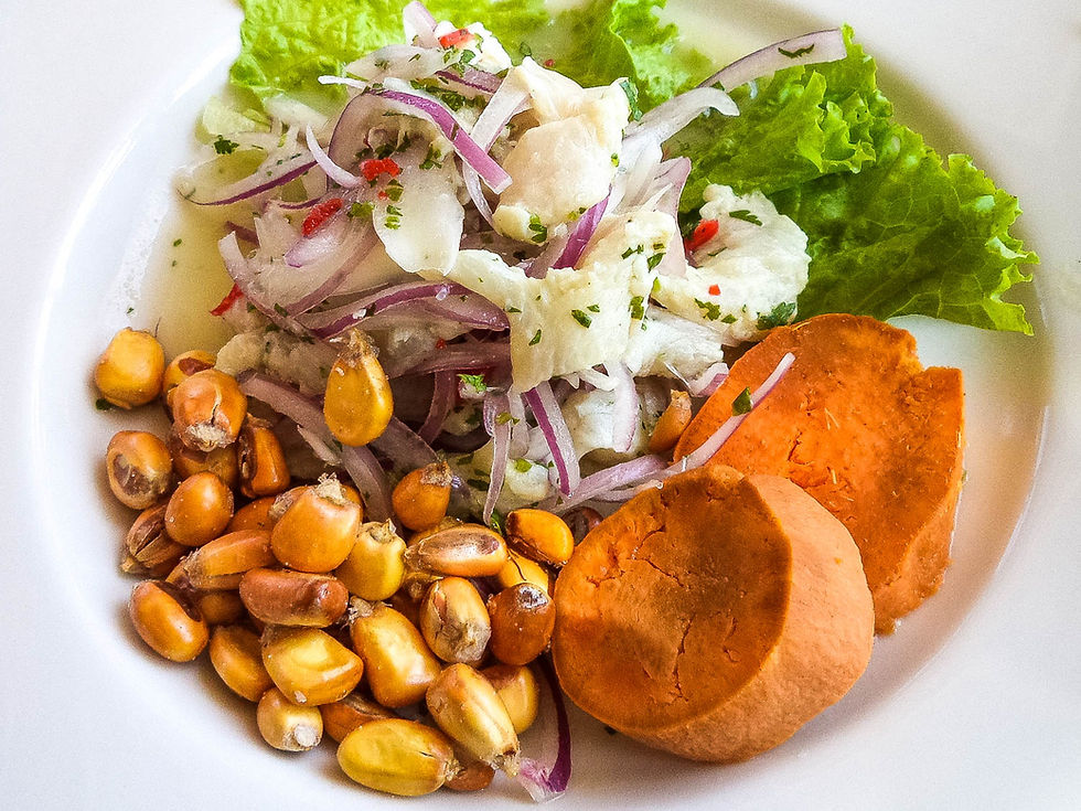 20142828-peruvian-cuisine-ceviche1-kevin
