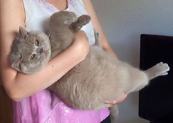 Crystal Flame's Kid Rock