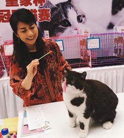 Crystal Flame's Wanna be a cookie