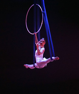 Aerial Acrobat