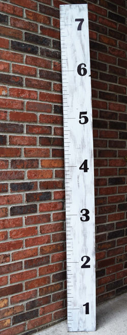 Growth Chart
