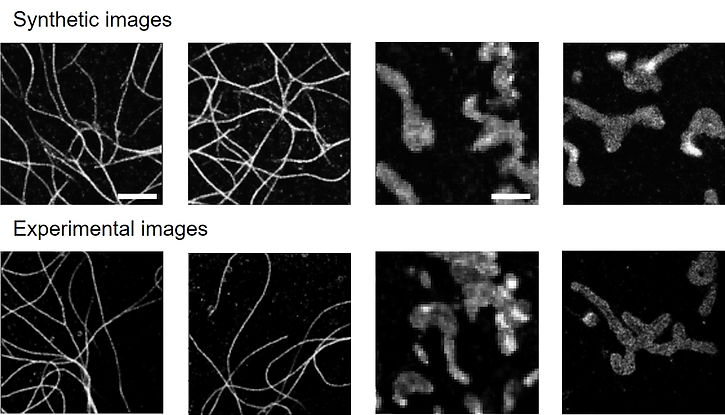 Diffusion models.jpg