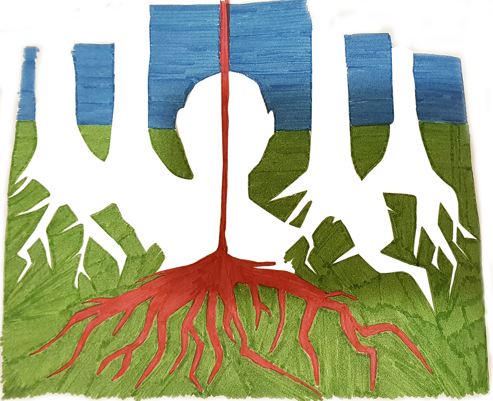 Vicente Góes, psicólogo e pesquisador em complexidade