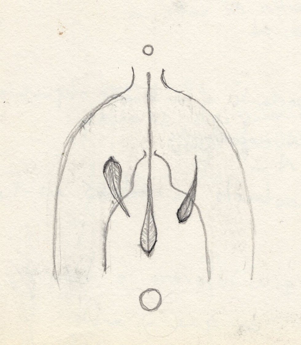 Mentoria para desenvolvimento humano