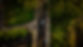 Scenery - Reduced-1.jpg