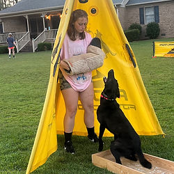 igp ipo shutzhund