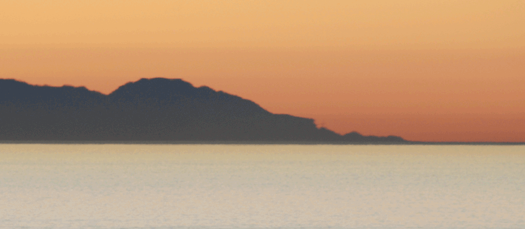 SkepticBlog-Catalina-GIF
