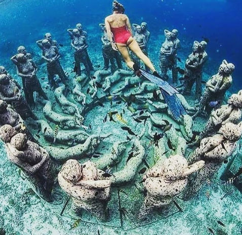 Snorkeling Tours - (9).jpg