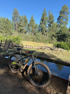 Los Burros Ride This Weekend