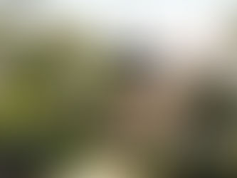 Tokyo - Gato Da Sorte!