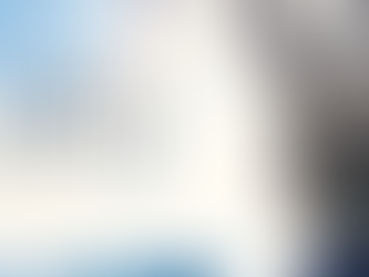 Benvenuto Amerigo Vespucci Come Aboard!