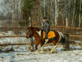 Wszechstronne ćwiczenie - nie tylko na dosiad