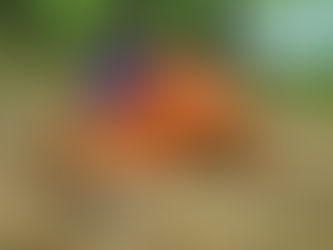 Rozmyślania o relacjach