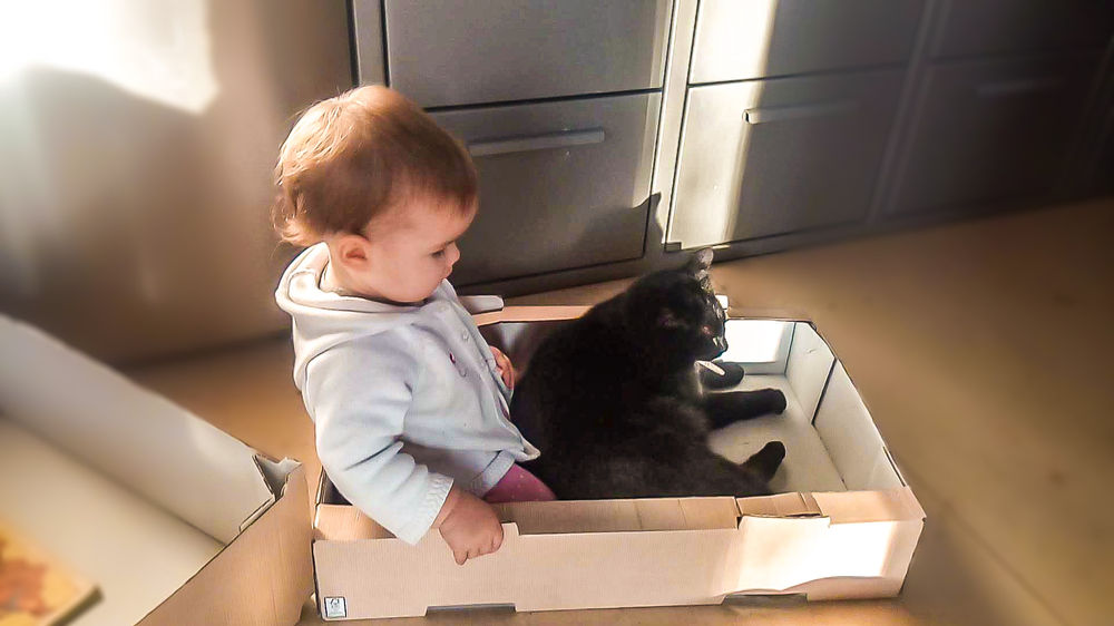 Najlepsze rzeczy w życiu są darmowe!