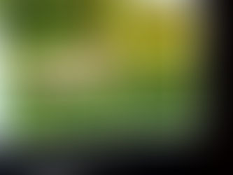 Doświadczenie wolności