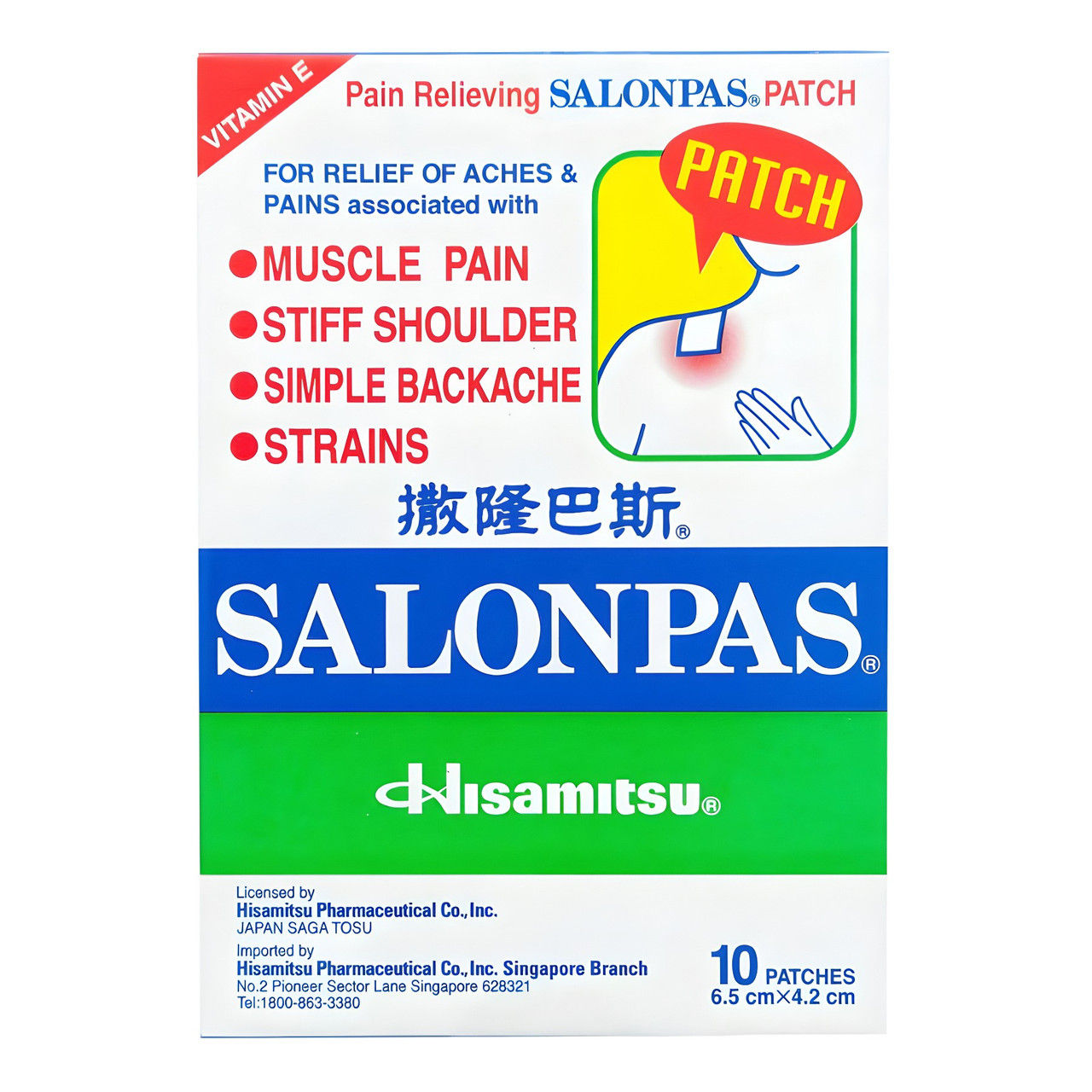 Salonpas Medicated Patch 10g