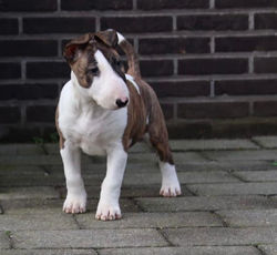 907eaba6-5b8f-47f1-9800-23a5bc9d5818