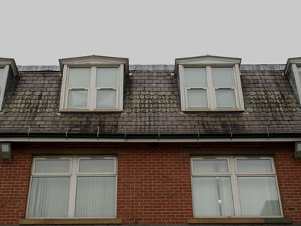 STP84277.jpg level.jpg