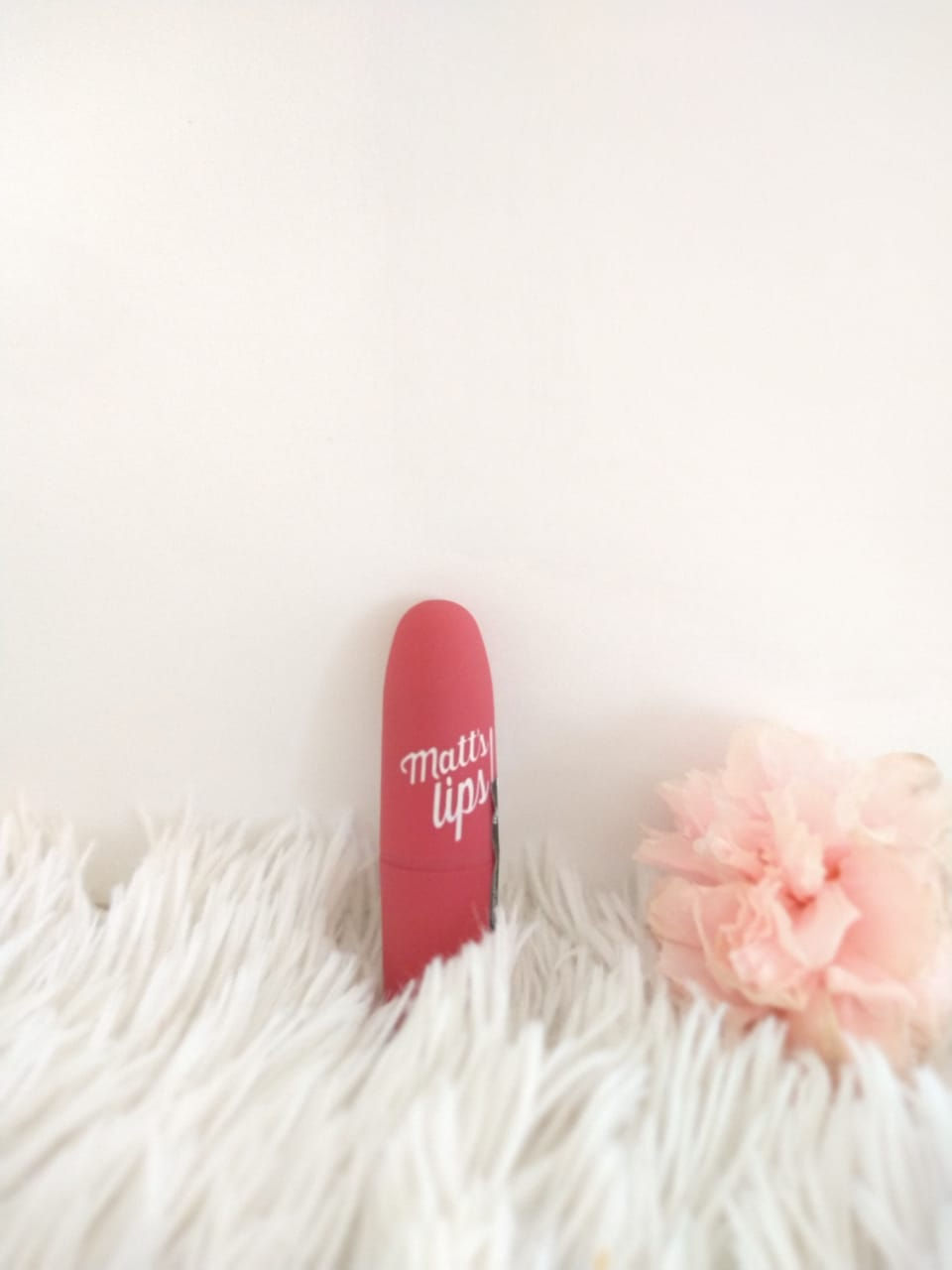 Miniatura: Labial Engol