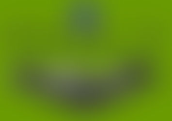 THE MIZUNO ENDURE 24