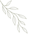 1a474d0f-a2ca-41b8-a385-66294ff19b16.png
