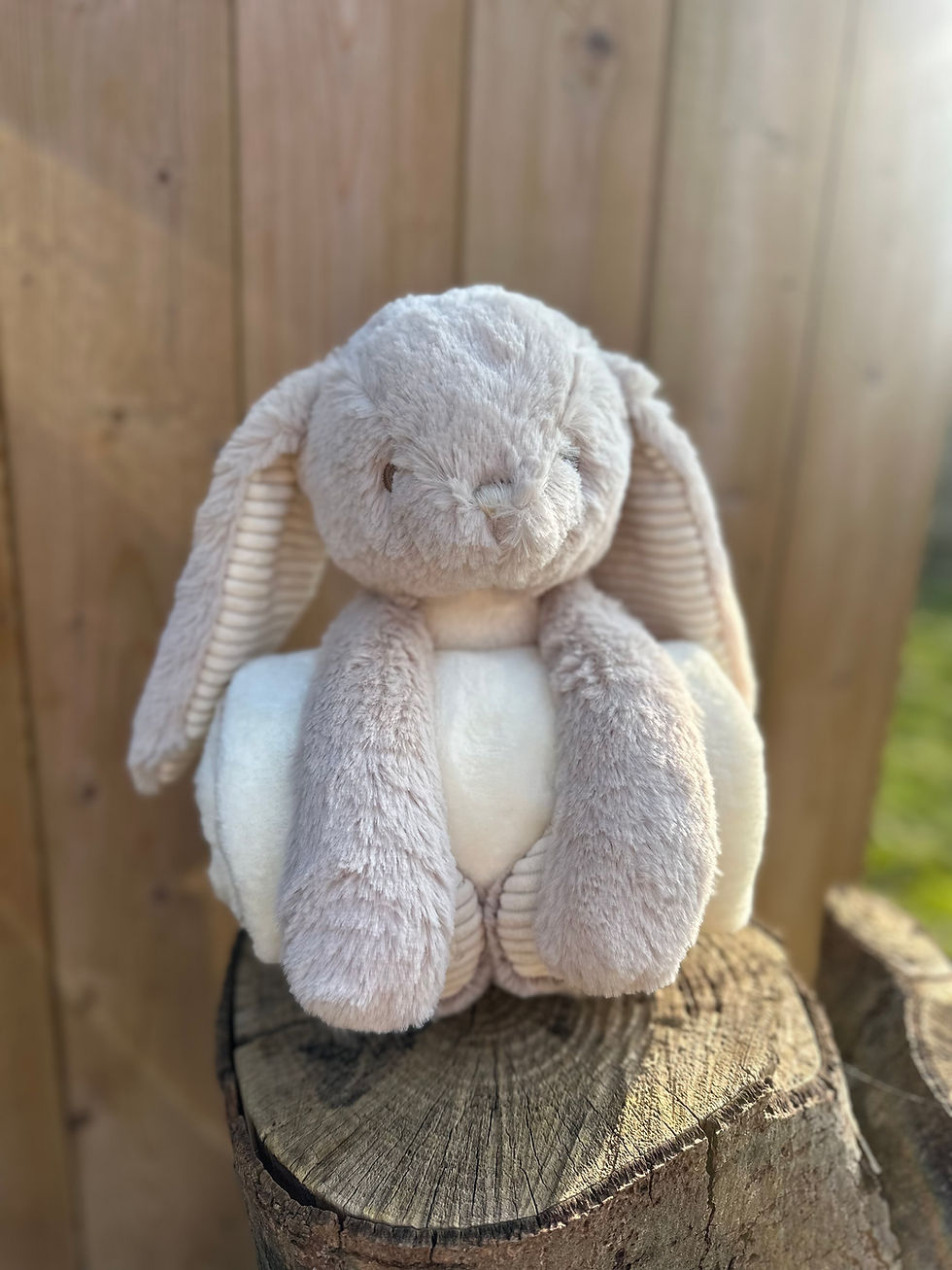 Thumbnail: Betty & Basil Blanket Bunny