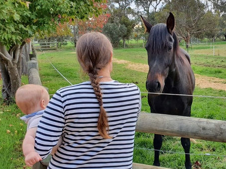 Babies and Horses – The Lies We Are Sold