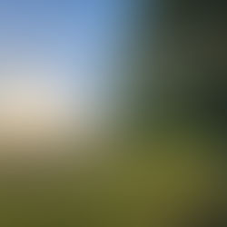 schöne Sommerlandschaft