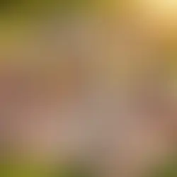 Jenny's Story
