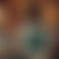 Lisa's Story