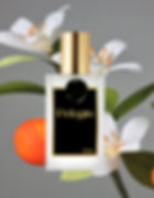 Perfume Contratipo Inspiração Bibliothèque Byredo. Os perfumes mais desejados com preços super acessíveis.