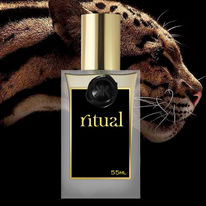 Lune-Feline-Perfume-inspiração.jpg