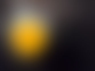 Quick response from the owner