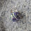 Thumbnail: Purple beaded flower glam scarf ring