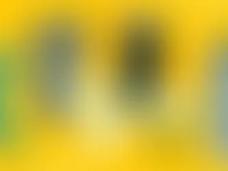 O IGPM e suas peripécias