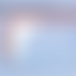 What is the Champion Dyad Initiative?