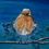 Miniaturbild: Pieps