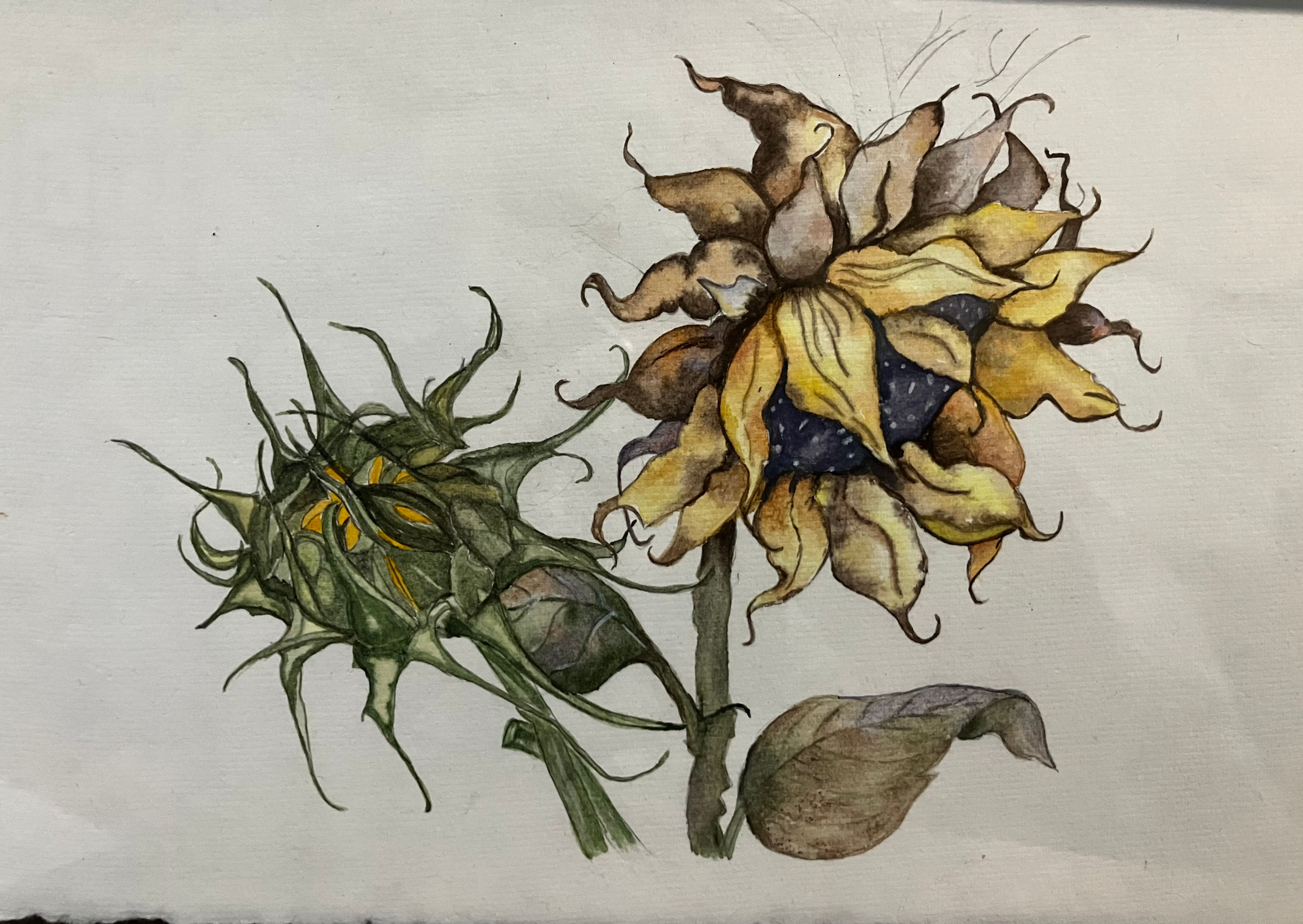 Custom Order - Sunflower Sass