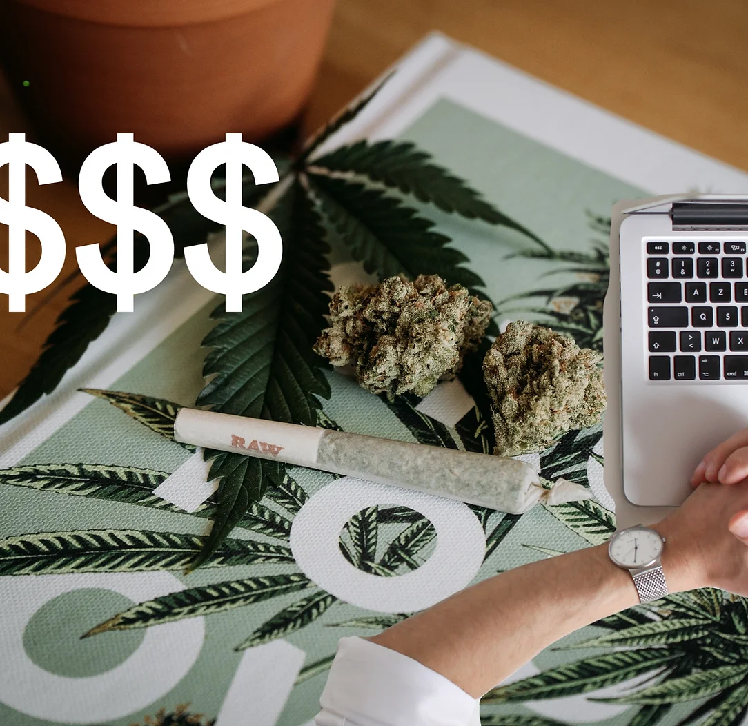 The legalisation of cannabis has opened a multitude of opportunities for businesses in South Africa.